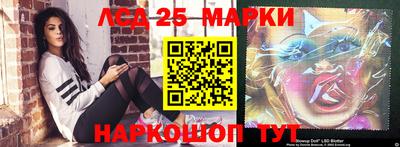 гидра Можга