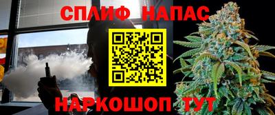 гидра Можга